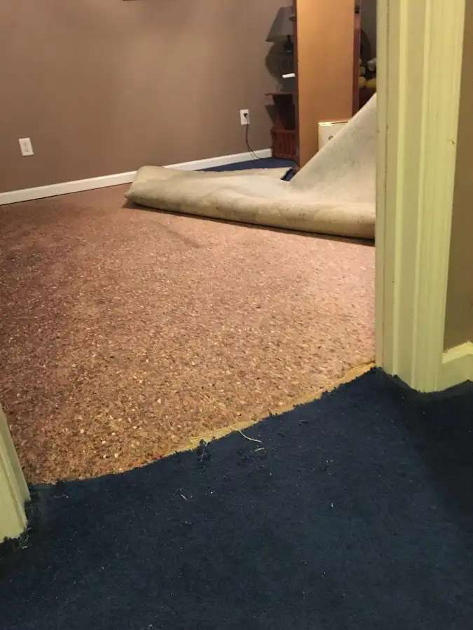 Carpet pad removal revealing water damage during Water Mitigation Services in Blakely