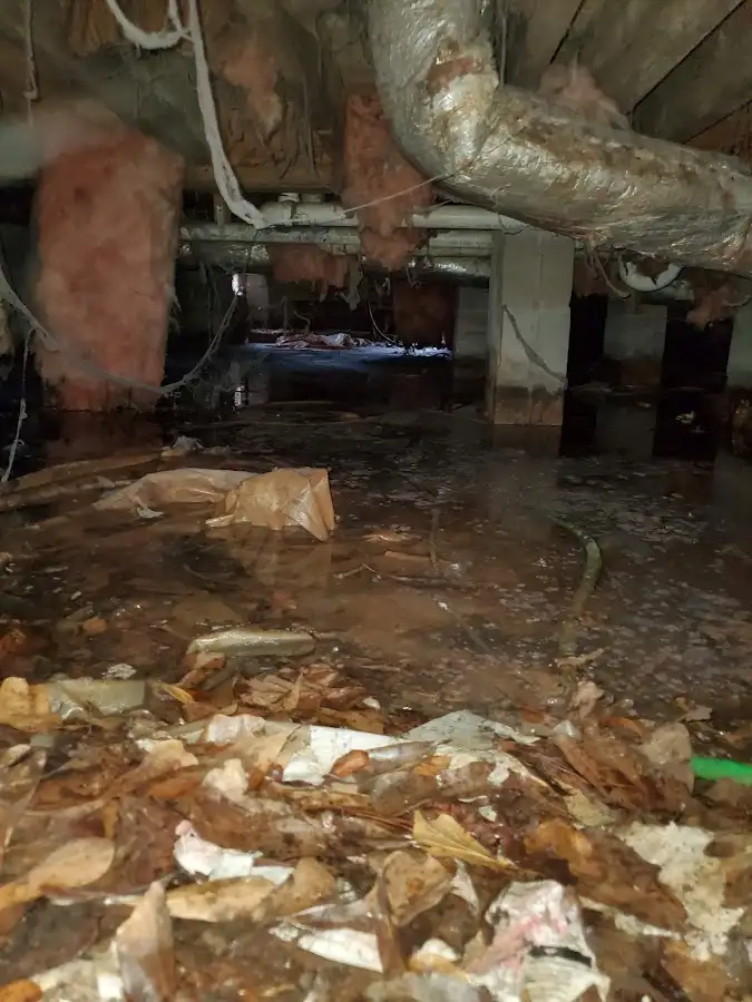 Crawl space flood assessment for Commercial Water Damage Restoration in Blakely